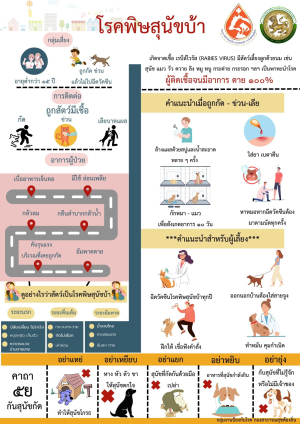 ประชาสัมพันธ์การเฝ้าระวังโรคพิษสุนัขบ้า